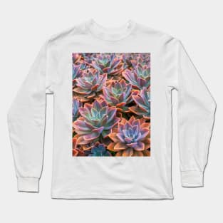 Echeveria Long Sleeve T-Shirt